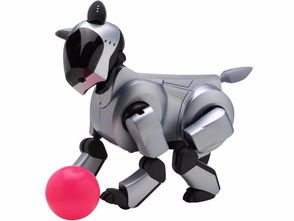 不给糖就捣蛋？杨洋携索尼耳机万圣狂欢，安保防卫用品成亮点